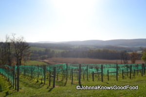 Virginia Wine Country