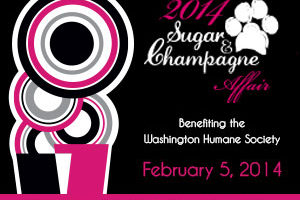 2014 Sugar & Champagne Affair