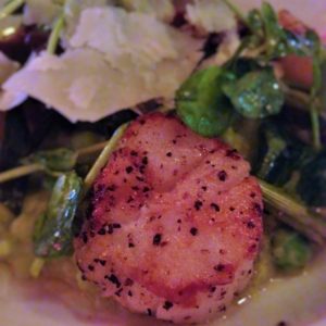 Seared Scallops at City Tap House DC