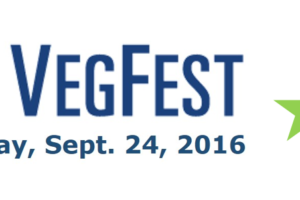 This Weekend:  2016 DC VegFest